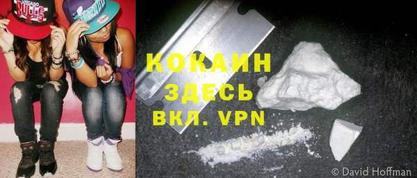 кокс Богородицк